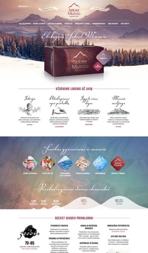 amazing website design 