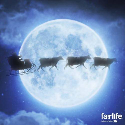 wonderful social media post design 