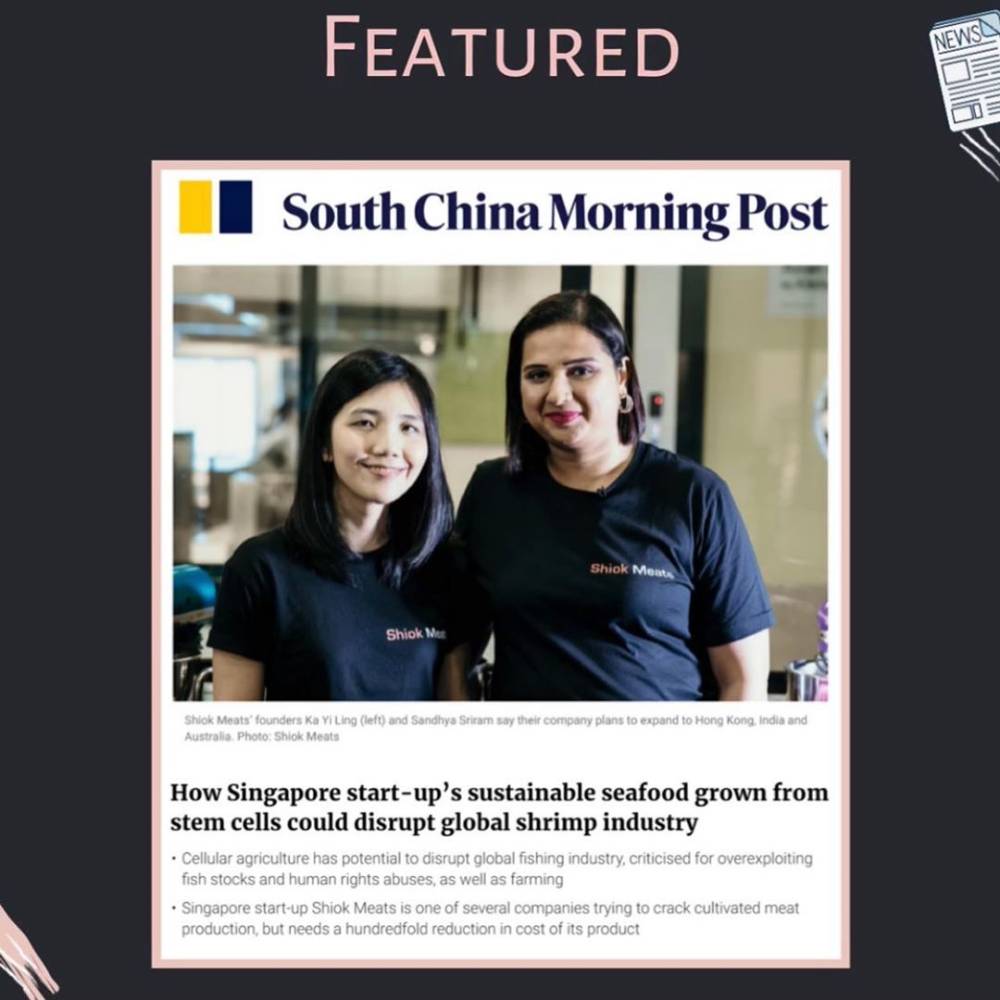 blog article post 