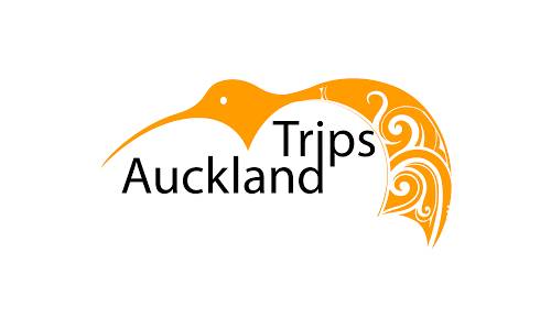 amazing kiwi logo design
