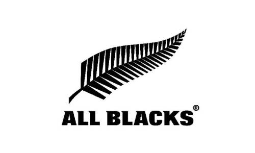best silver fern logo