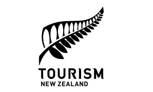 best silver fern logo