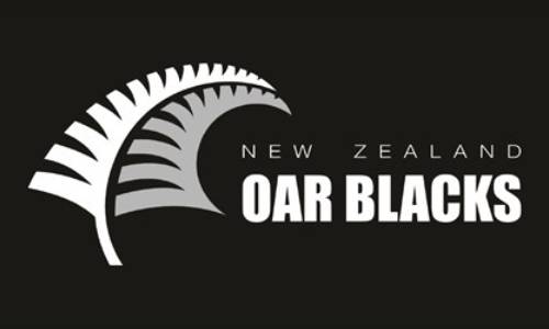 silver fern logo design ideas